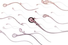 常見的前列腺炎、腮腺炎會導致無精癥嗎？