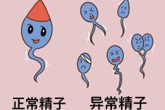 精子畸形率多少是正常的？精子畸形可以做試管嗎？