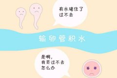 輸卵管積水可以懷孕嗎？能做試管嬰兒嗎？