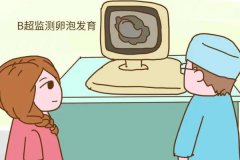 監測排卵從第幾天開始？排卵監測多少錢？