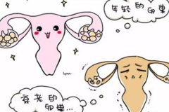 卵巢早衰會有什么樣的危害？卵巢早衰還會排卵嗎？