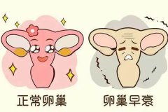 卵巢早衰吃什么食物好？卵巢早衰會老得快嗎？