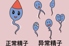 中度畸形精子癥的嚴重性？胎停跟精子畸形有關嗎