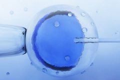 試管嬰兒降調多少天呢？長方案降調后多久促排呢？