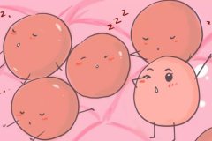促排時機從月經第幾天開始？促排懷孕幾率有多大？
